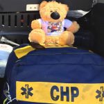 Teddy Bears in CHP 1st responder vehicles