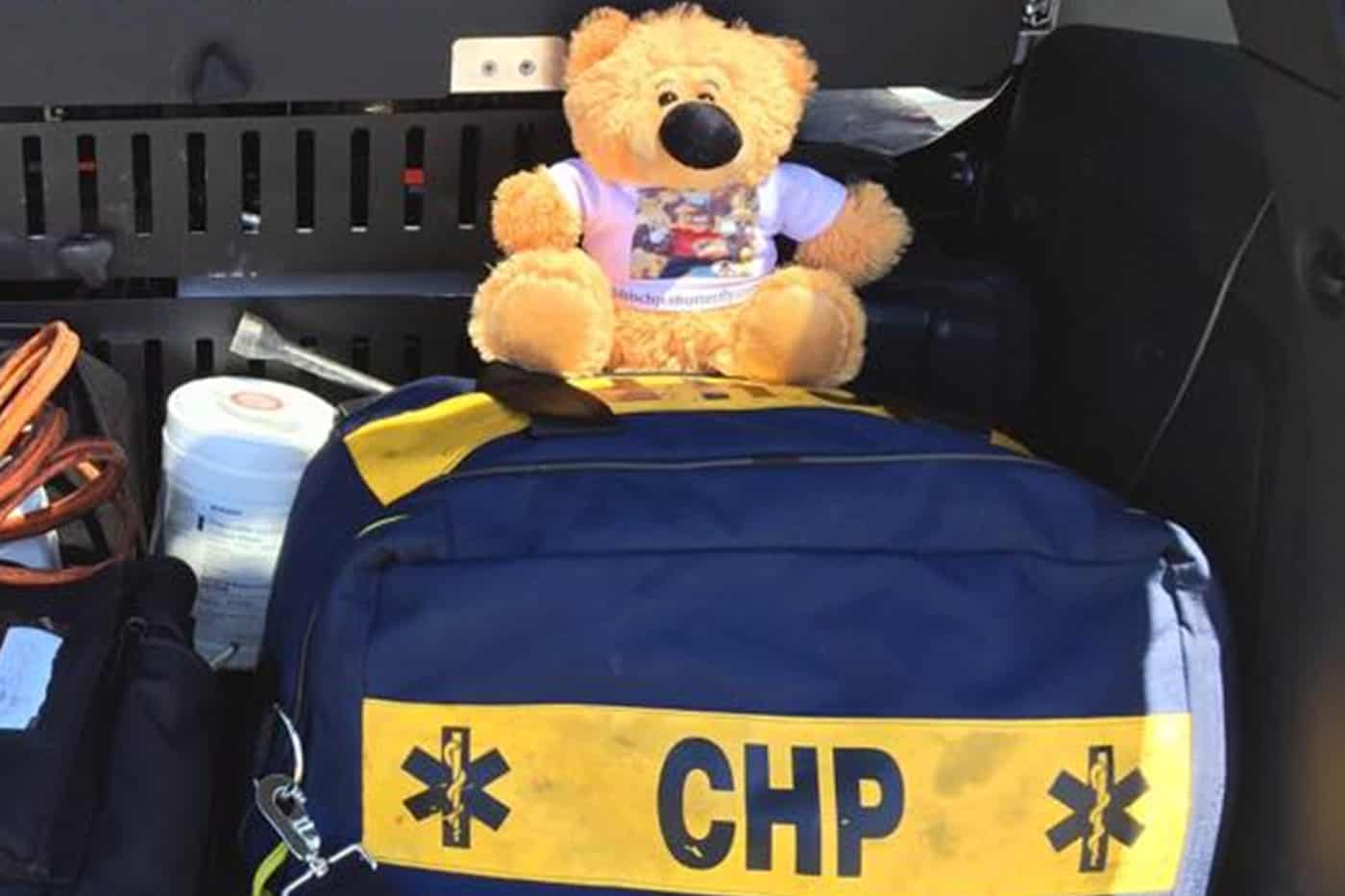 Teddy Bears in CHP 1st responder vehicles